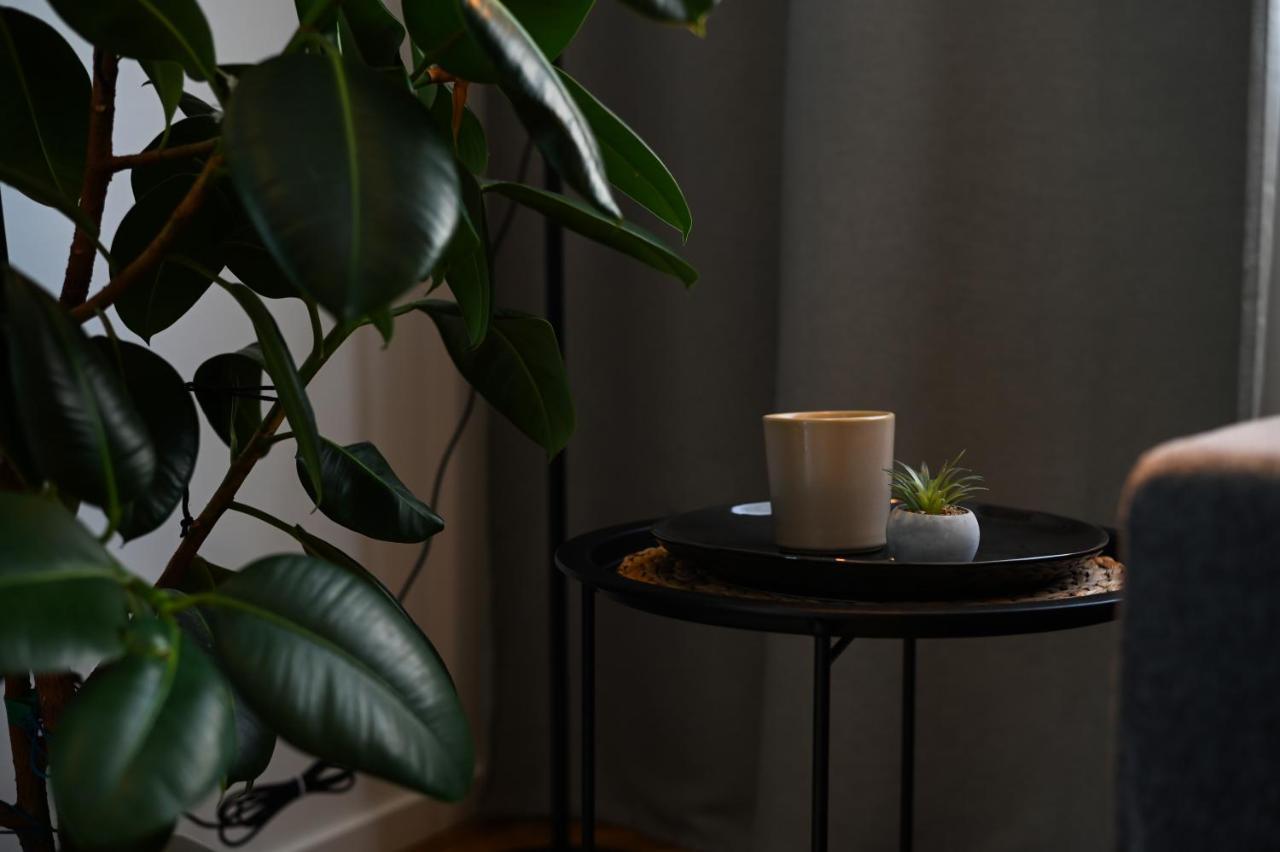 City Center Studio - Comfy & Modern 布拉迪斯拉发 外观 照片